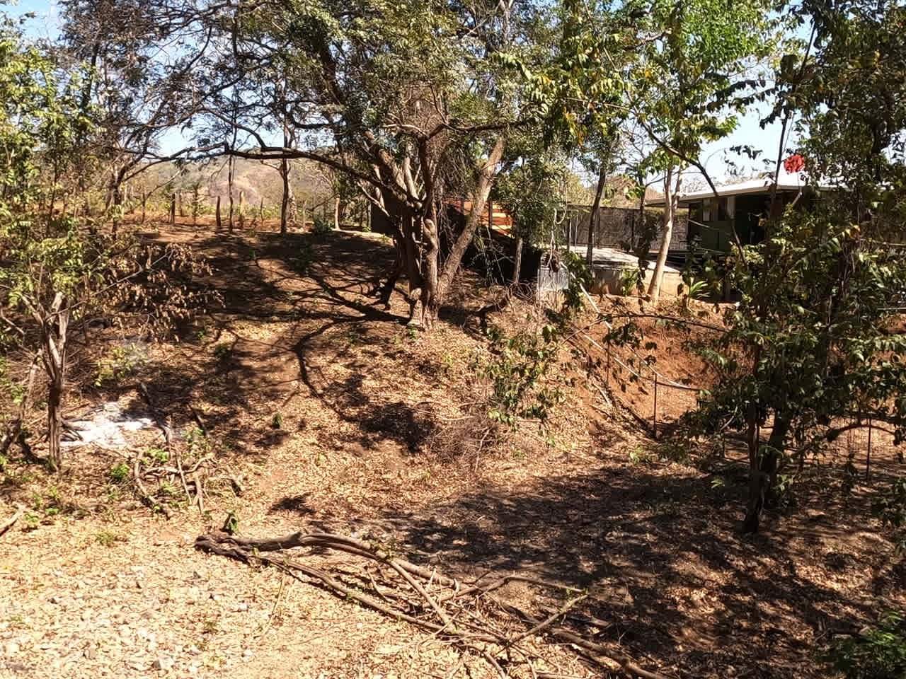 Land of your dreams | Large Lot with 2 Road Accesses