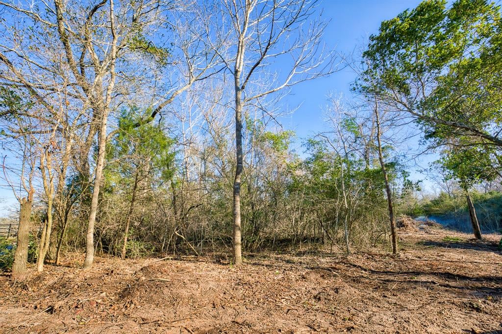 TBD Ellerman Rd Brenham, Tx 77833