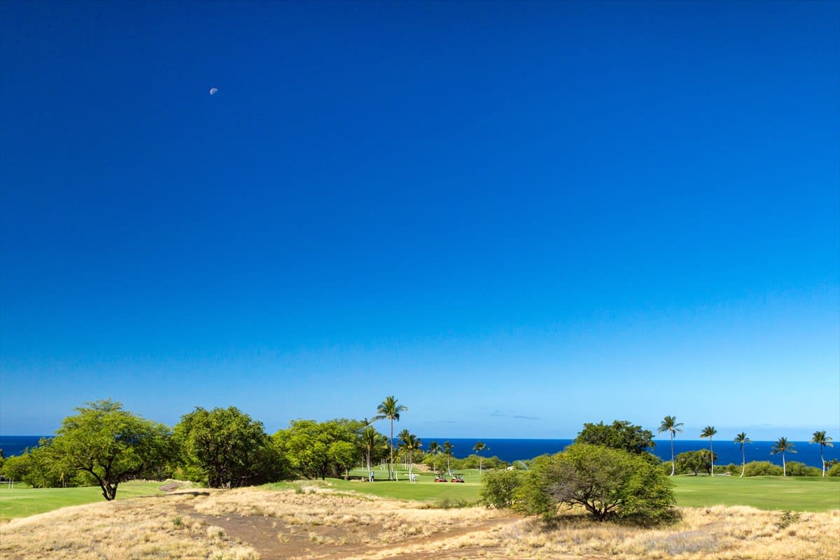 High Bluffs 2