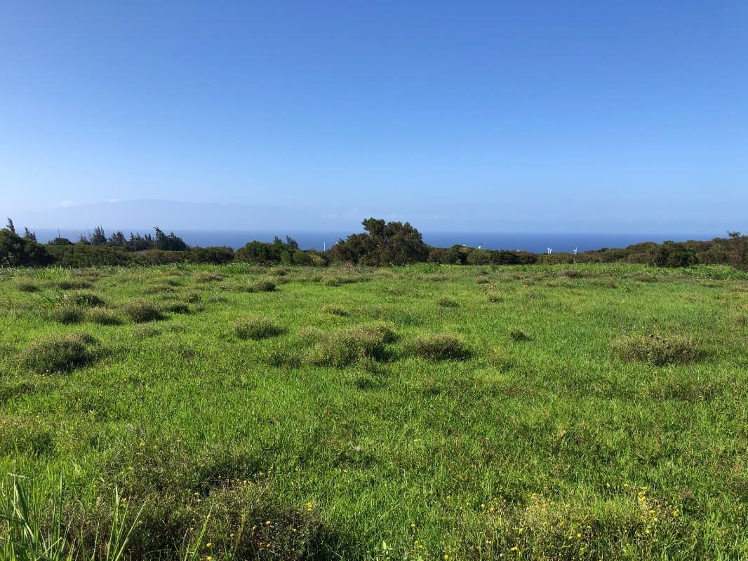 NORTH KOHALA LOT #312