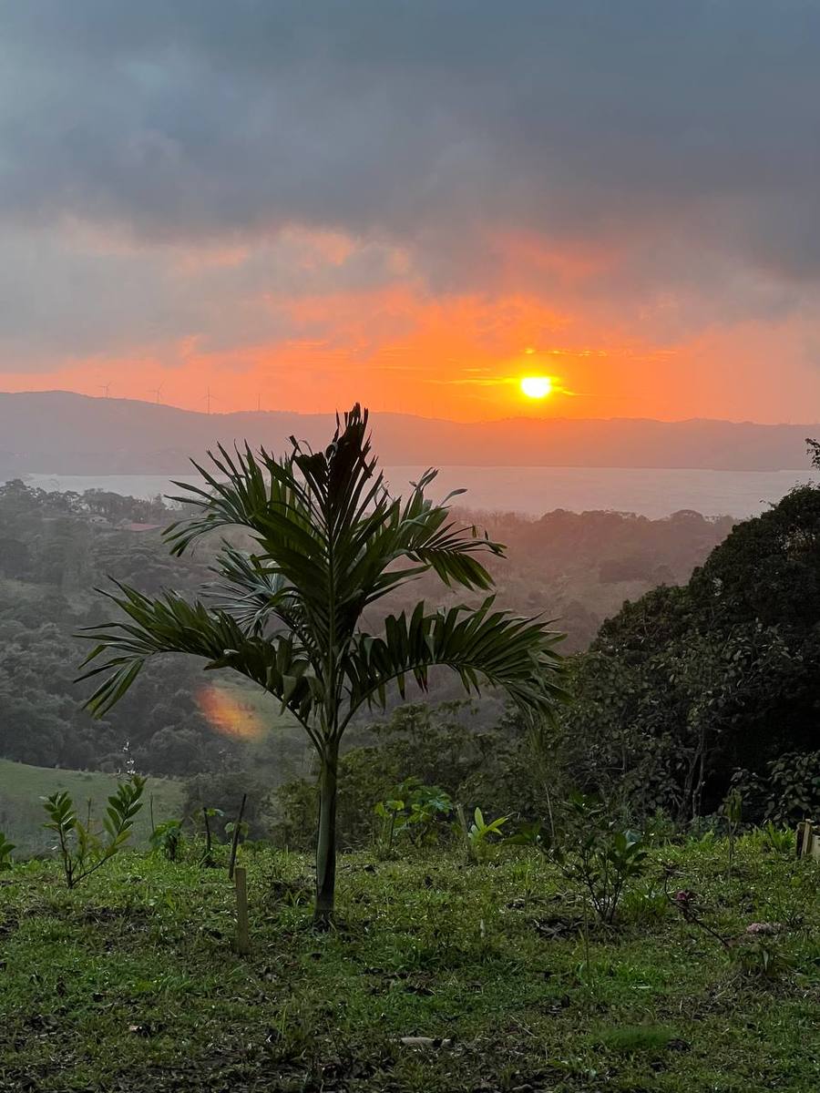 Permaculture Food Forest Land, Lake Arenal, Alajuela