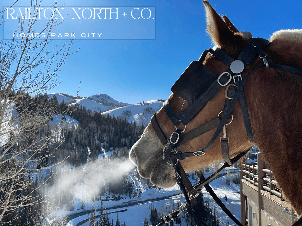 Park City Equestrian Areas | Homes Park City