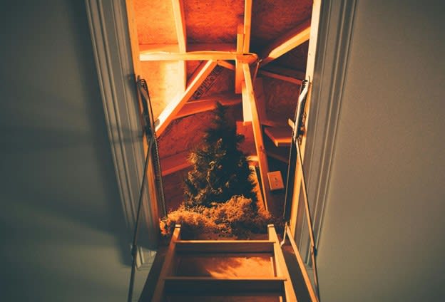 Attic Inspections 101: What Not To Miss