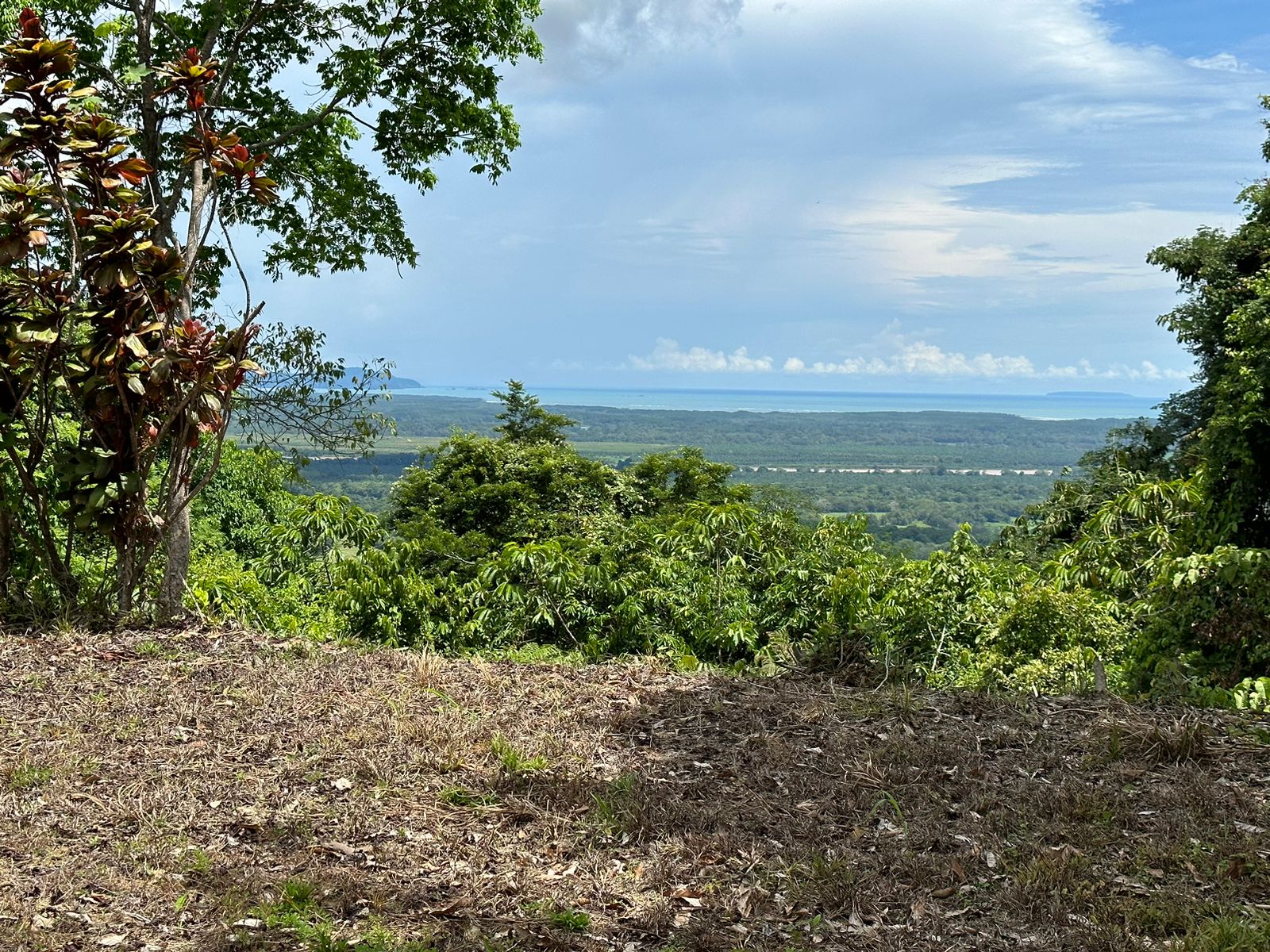 Ocean View Lot Priced to sell