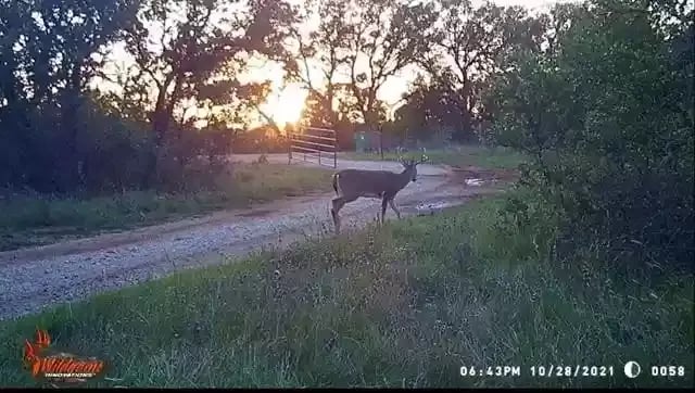 18396 County Rd 225