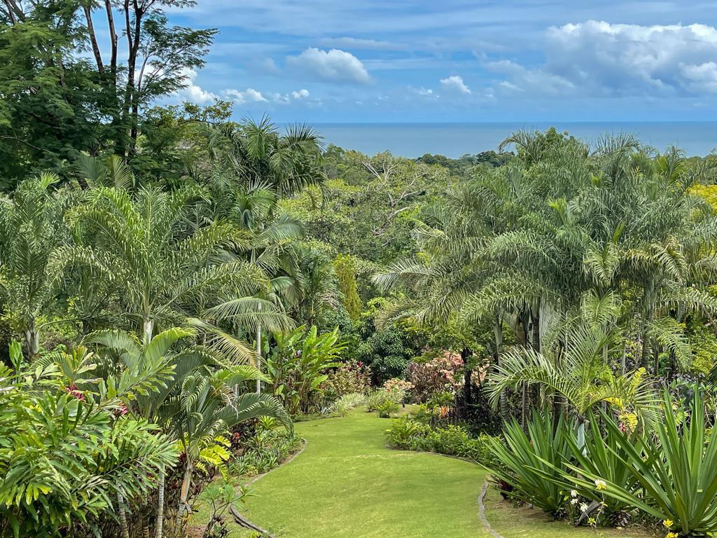 3 Bedroom Home With Stunning Ocean & Jungle Views - 18.94 Acres