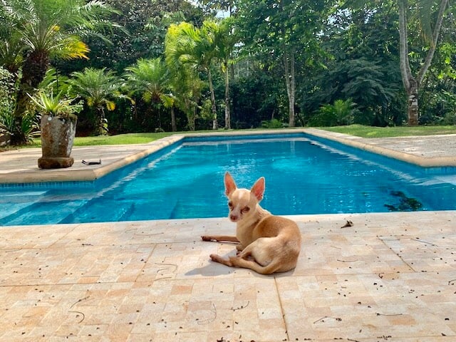 Waterfall River Luxury Home, Dominical, Puntarenas
