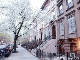 140 St James Pl