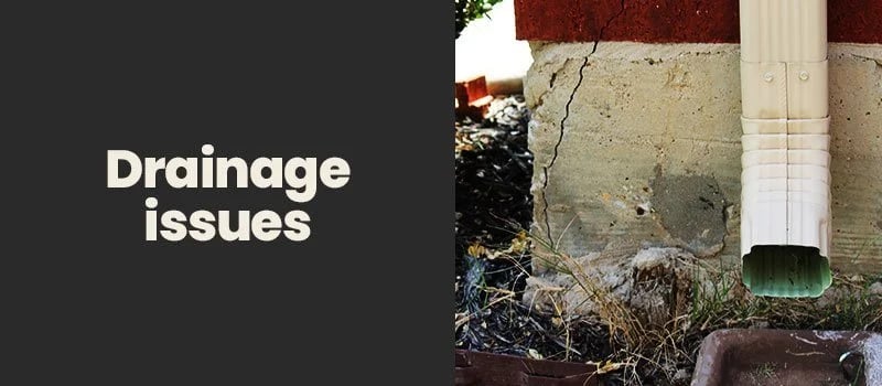 Drainage issues beside a cracked foundation and downspout.