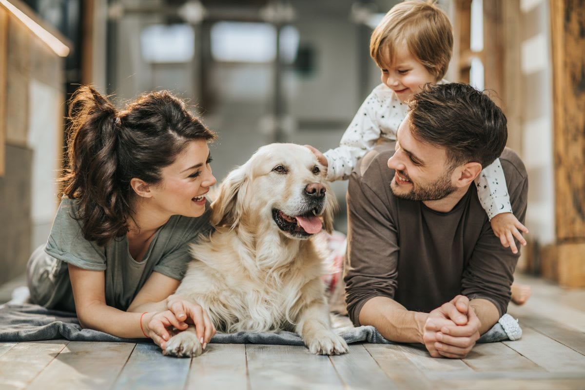 Top 8 Pet-Friendly Neighborhoods in LA