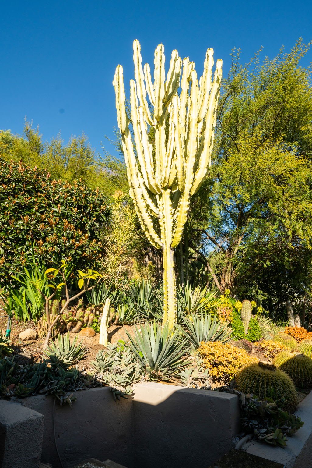 Hollywood Hills Pied de Terre - Another Off Market Sale