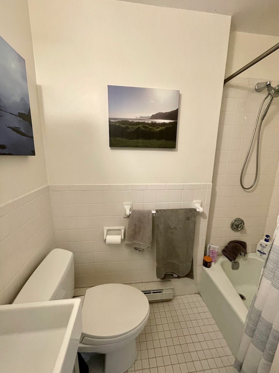 Dwight Street - Sunny 1 Bedroom 1 Bathroom w/ updated Kitchen! Available JUNE! 