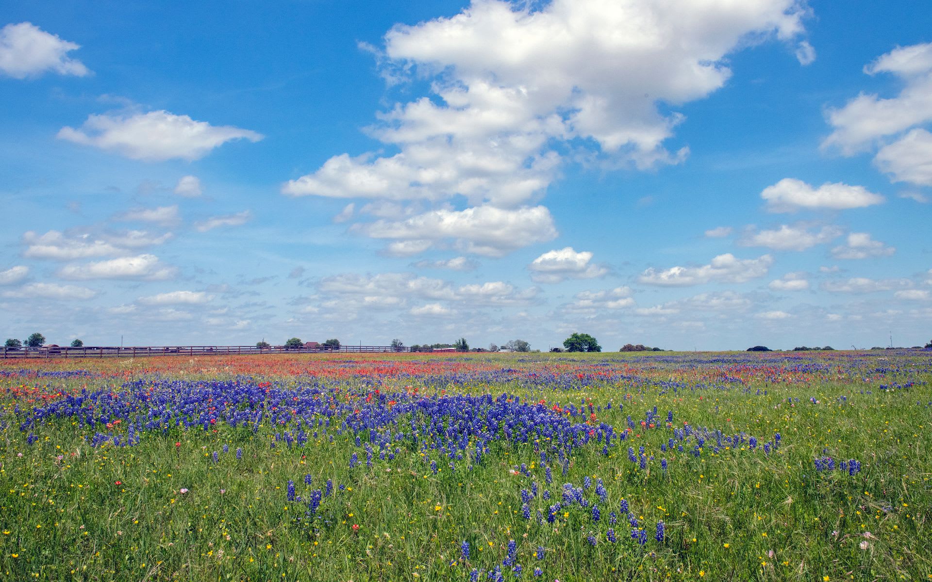 Chappell Hill, Texas &ndash; Historic Main Street storefronts and small-town charm