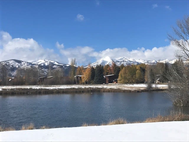 Cedarwoods Unit 402
