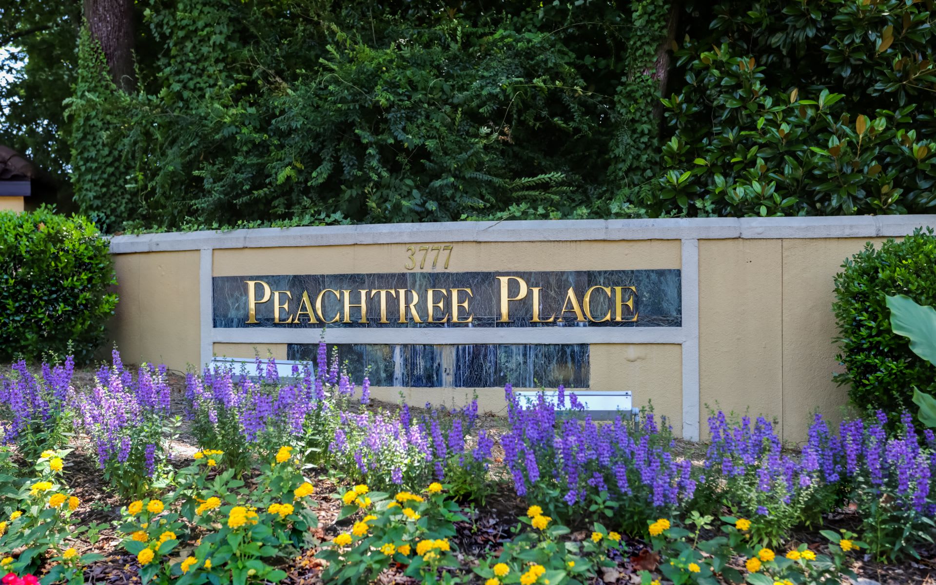 3777 Peachtree Road NE Unit: 924