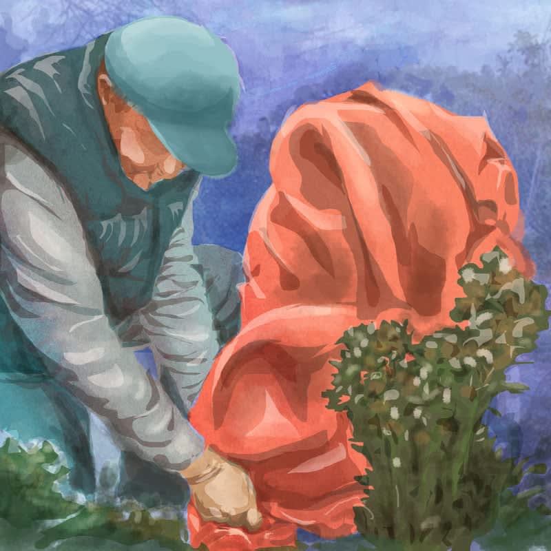 Winterize Your Home