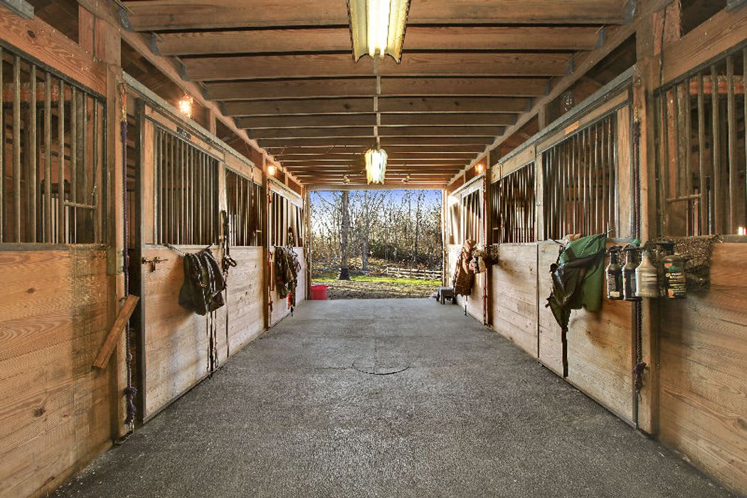 Long Springs Farm, Southampton