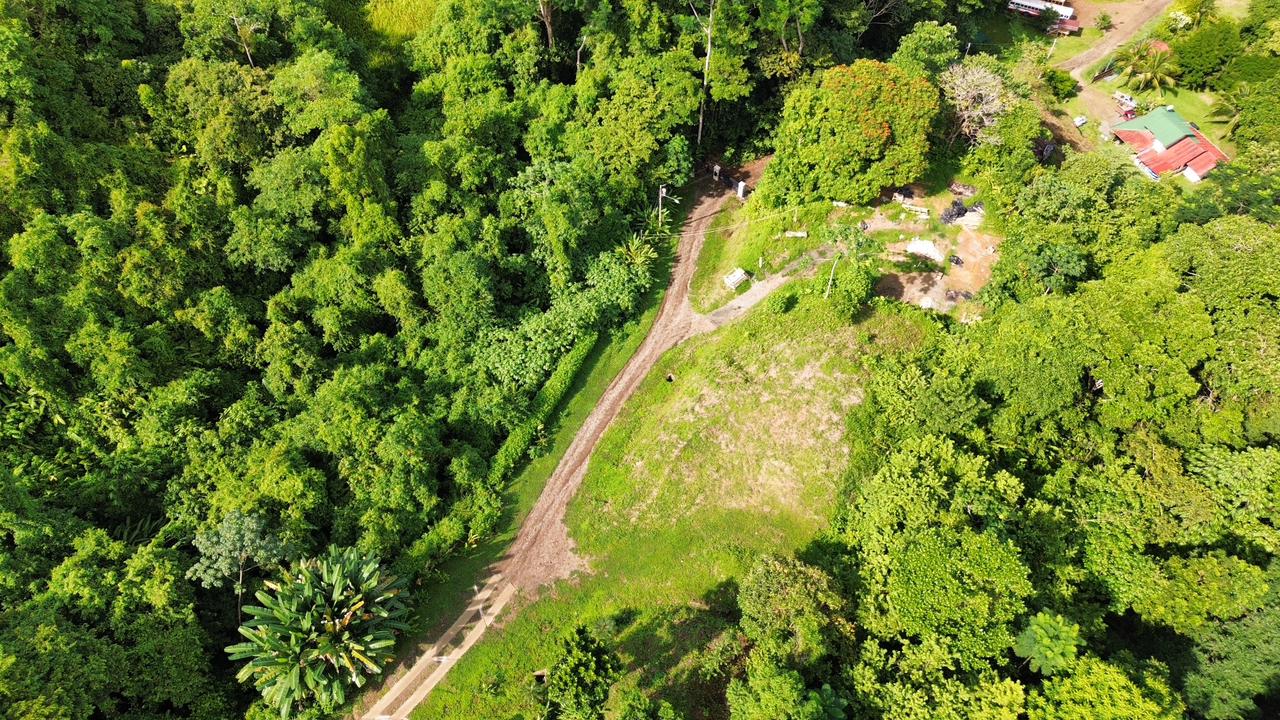Expansive 1.74 Acre OCEAN VIEW lot w/2 large building sites