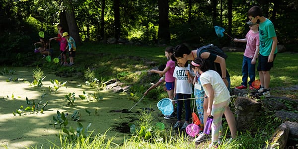 10 Popular Summer Camps