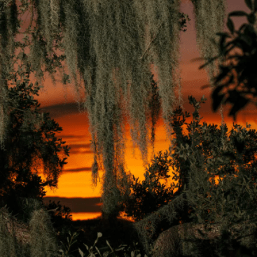 Sarasota Named One of the World's Top 100 Places to Visit