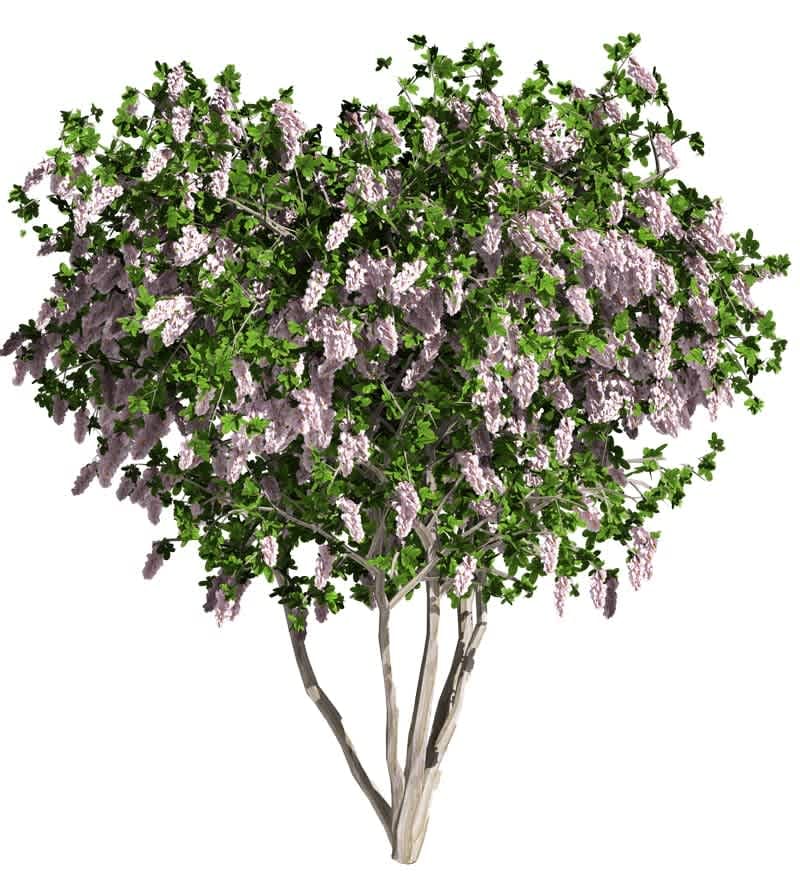 Curb Appeal: American Colonial