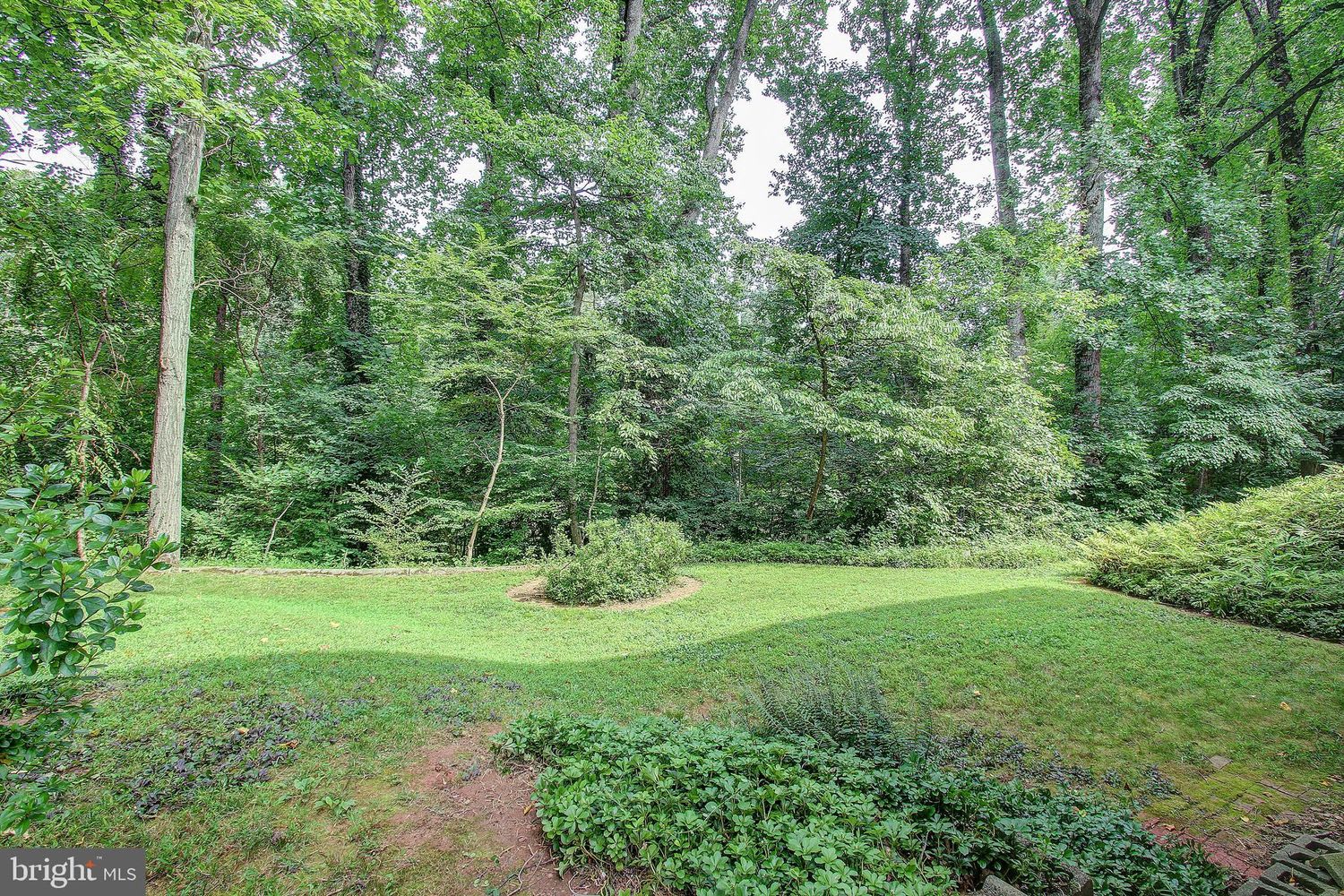 1552 Forest Villa Ln