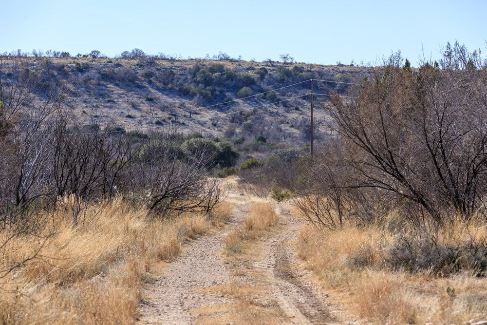 Molino Ranch