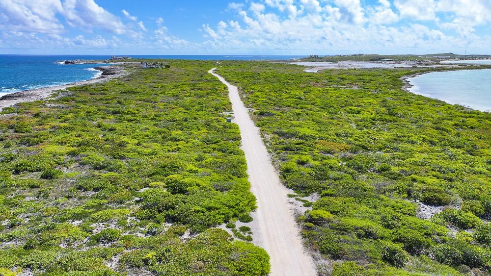 Tarpon Point-Ambergris Cay