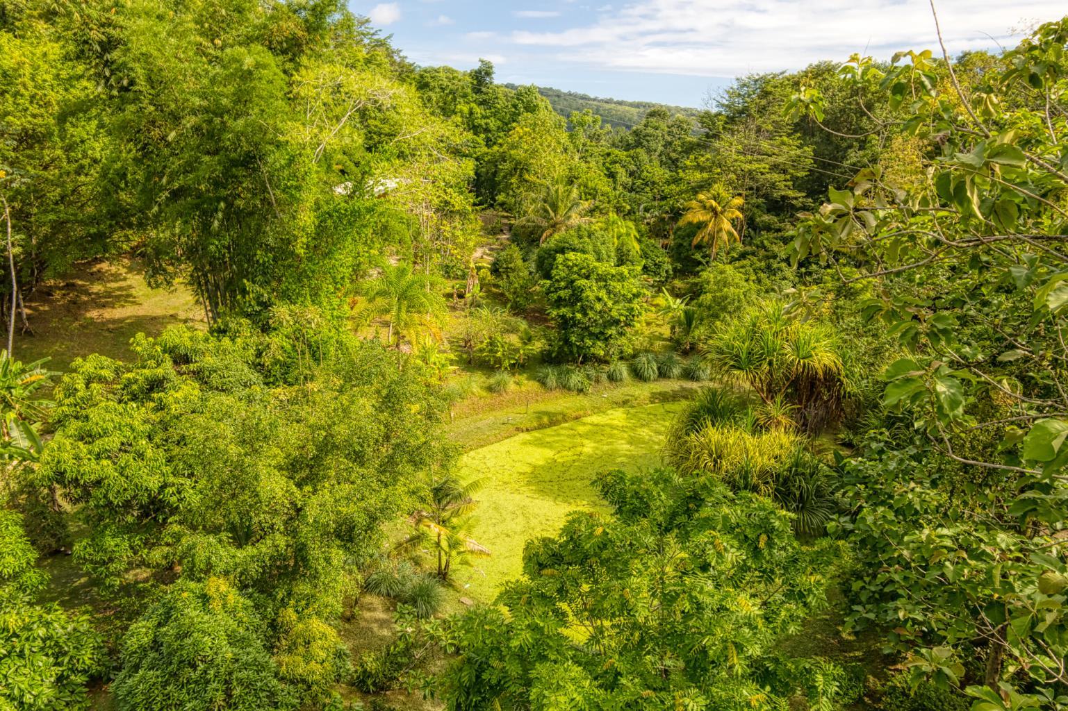 Exceptional Retreat Center on 62 Acre in Tinamastes