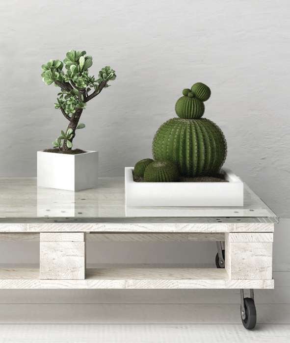 Unexpected Uses NEST Magazine