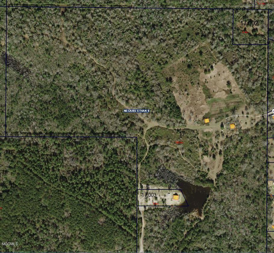 32331 Carey Smith Rd