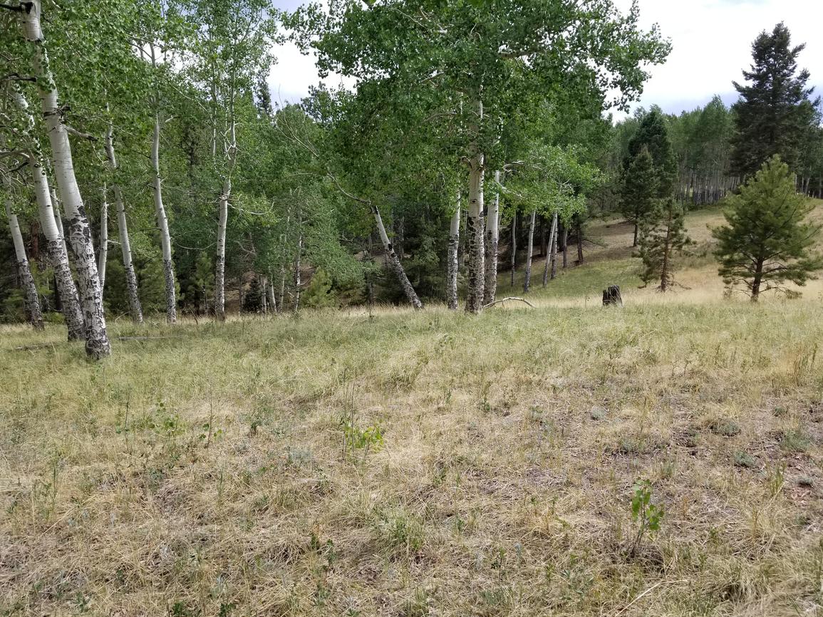 3800 N Elk Ridge Drive