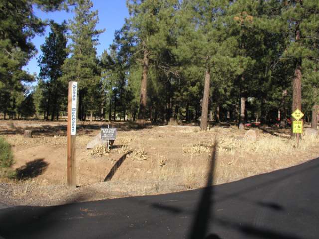 12295 Filly Ln