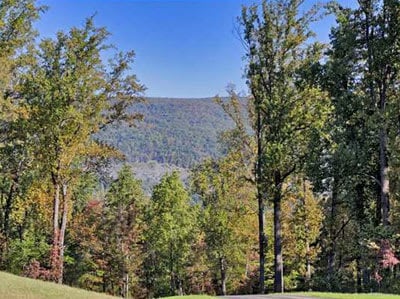 Introducing Handley Farm Estates