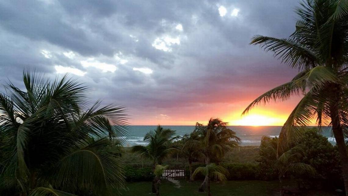 Herald Article SurfSide