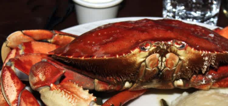 Northern Virginia Summer Bucket List: Eat crabs at Rick’s on the River