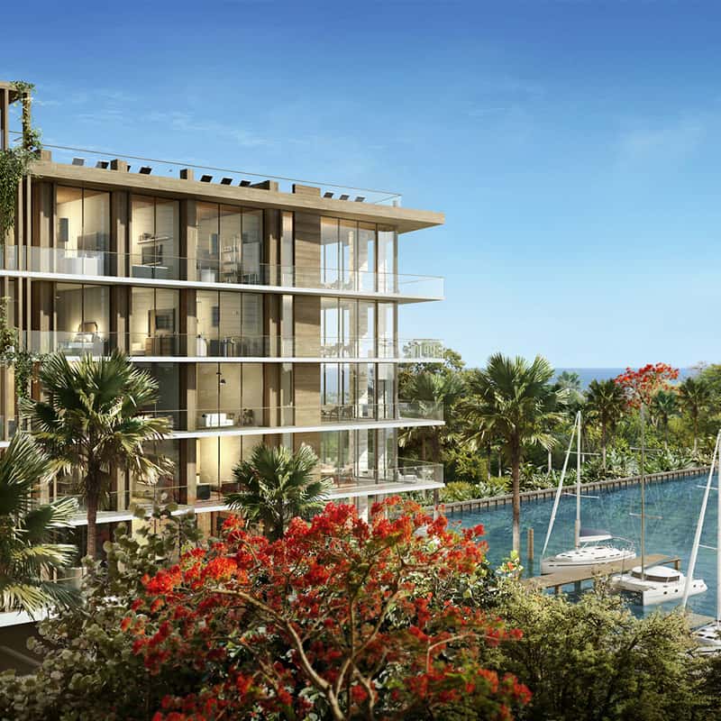 The Fairchild Coconut Grove