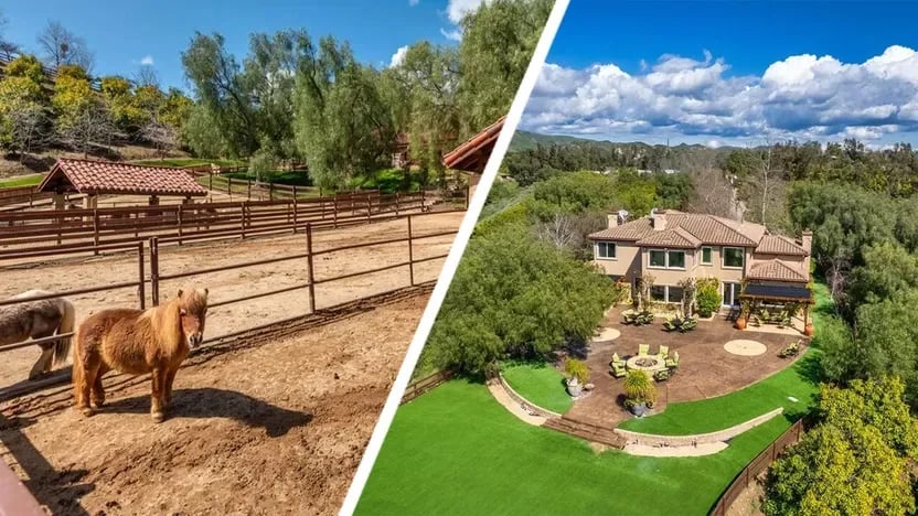 Tiny Animals, Giant Ranch: Mini-Horse Farm on 20 Acres Prances Onto the Market for $7.3M