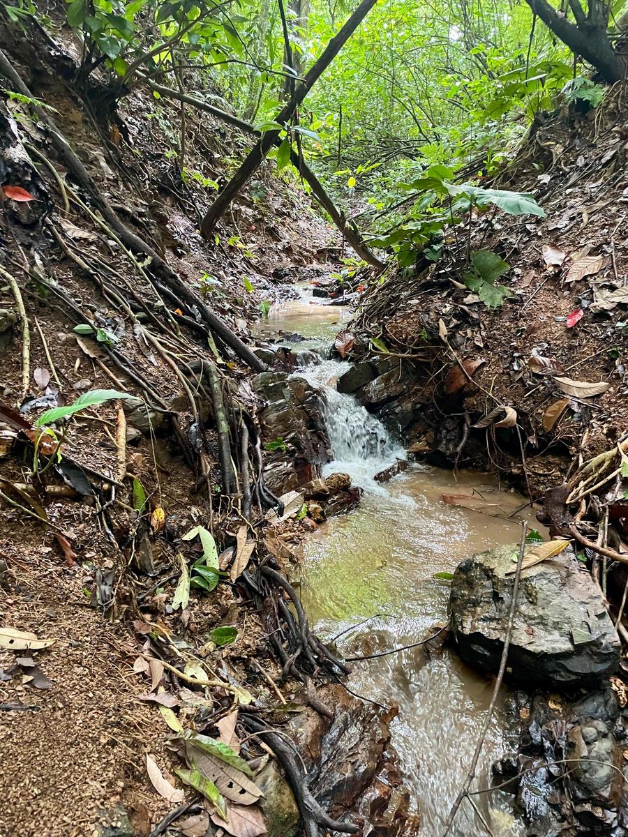 Private Waterfall Ocean View Land, Ojochal, Puntarenas
