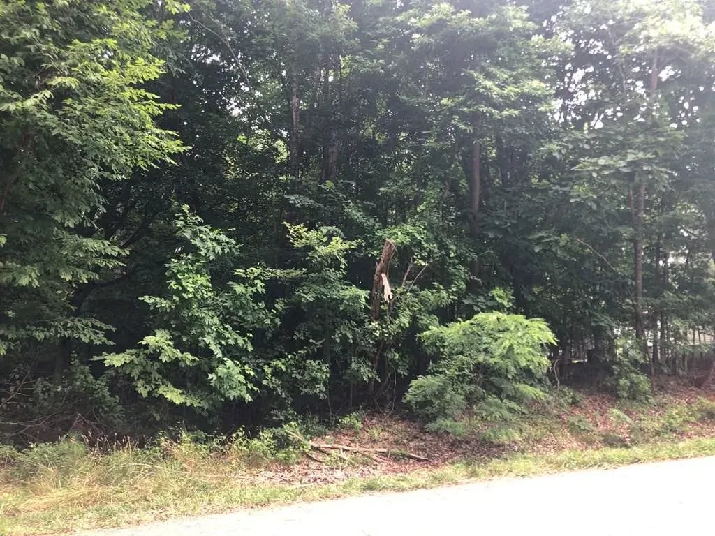 Pleasant View Rd, Lot 36