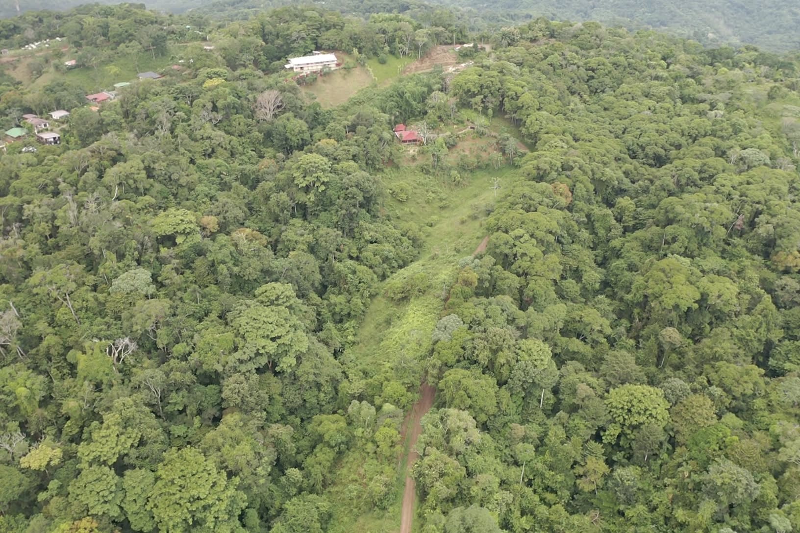 7.6 Acres Calle Camaron Platanillo
