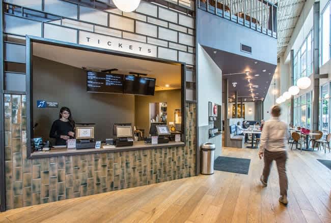 Bee’s Knees: Fun Finds