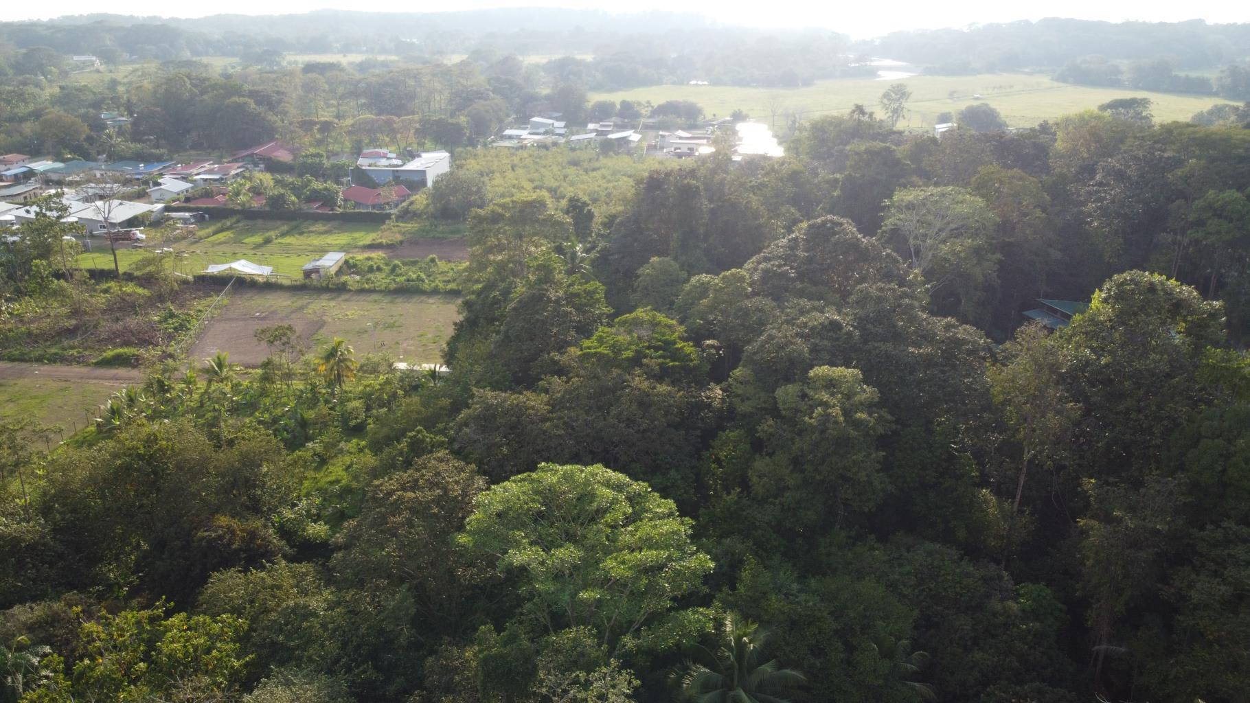 Uvita Prime Commercial Property - 5.9 acres
