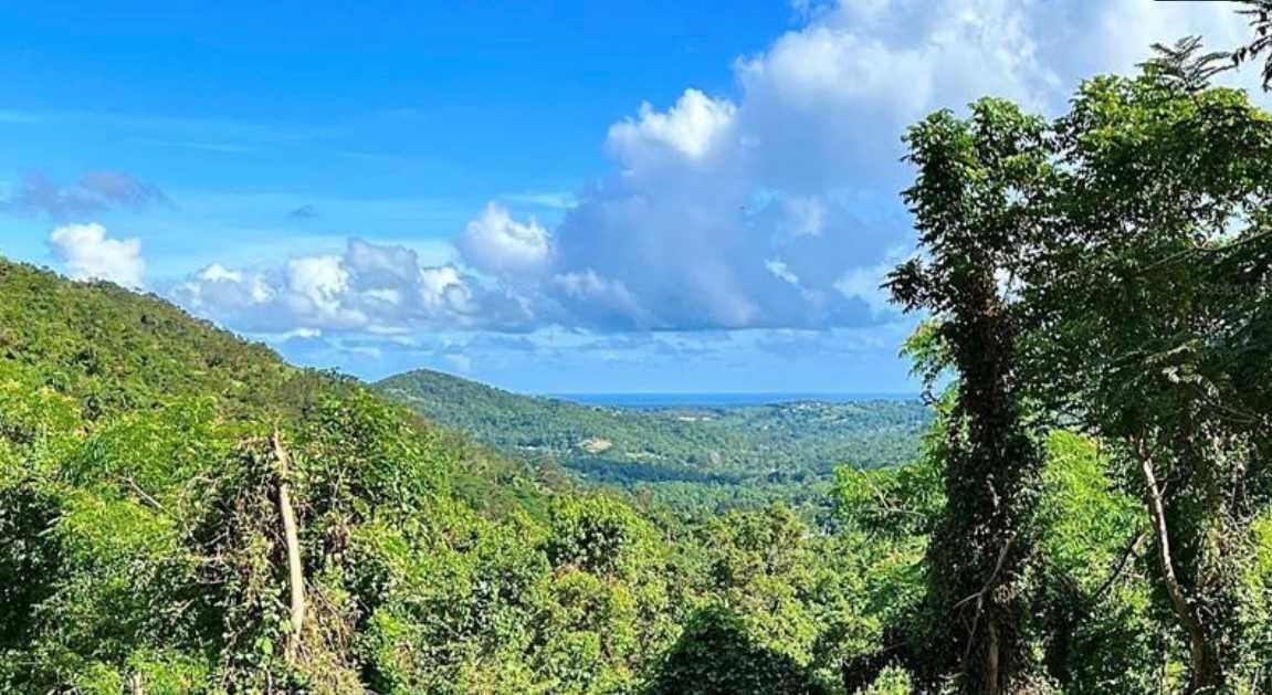 MonteCielo Riverfront Property