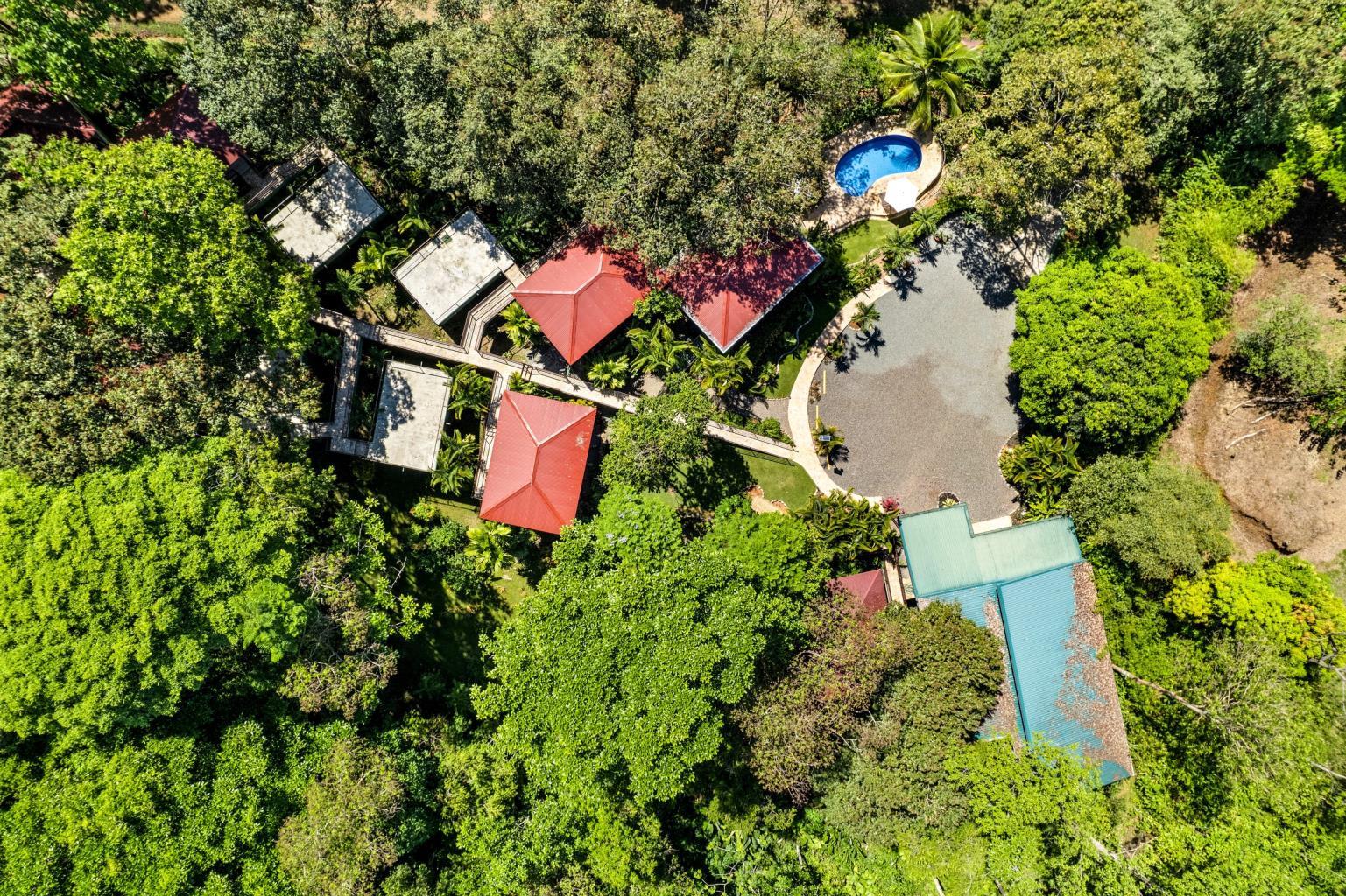 6 Beautiful Tree House Villas and Owners Home on Calle Toucan