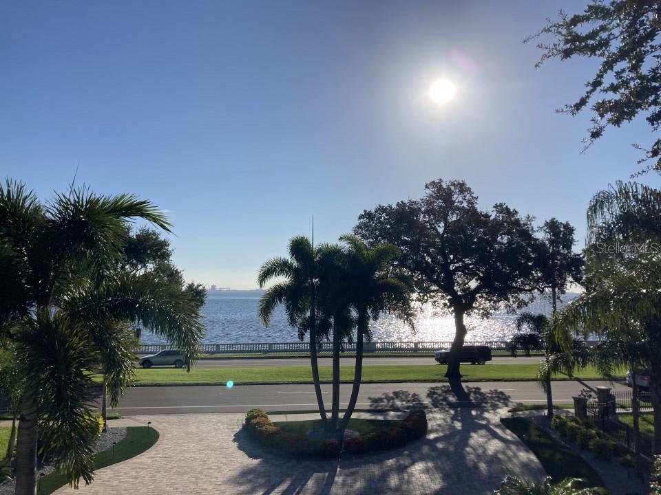 4615 Bayshore Blvd