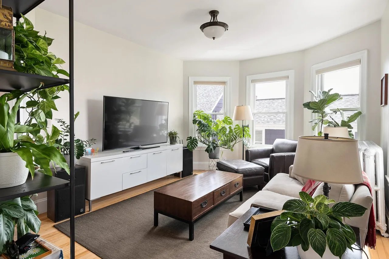 Bring Your Garden Inside: The Joys of Indoor Plants