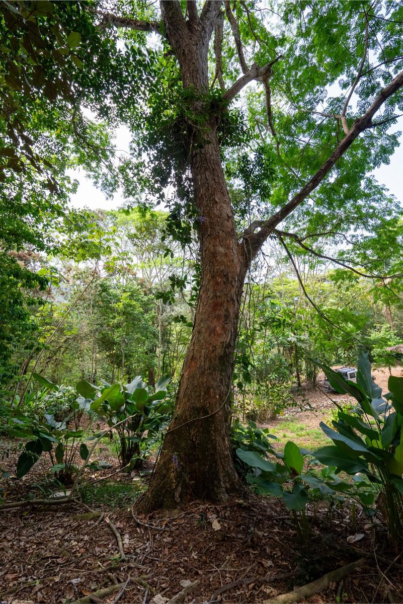 Private Ocean View Development Lot, Dominical, Puntarenas
