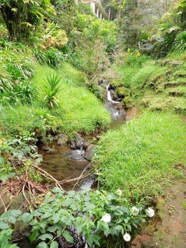 Riverfront Mountain Estate, Heredia