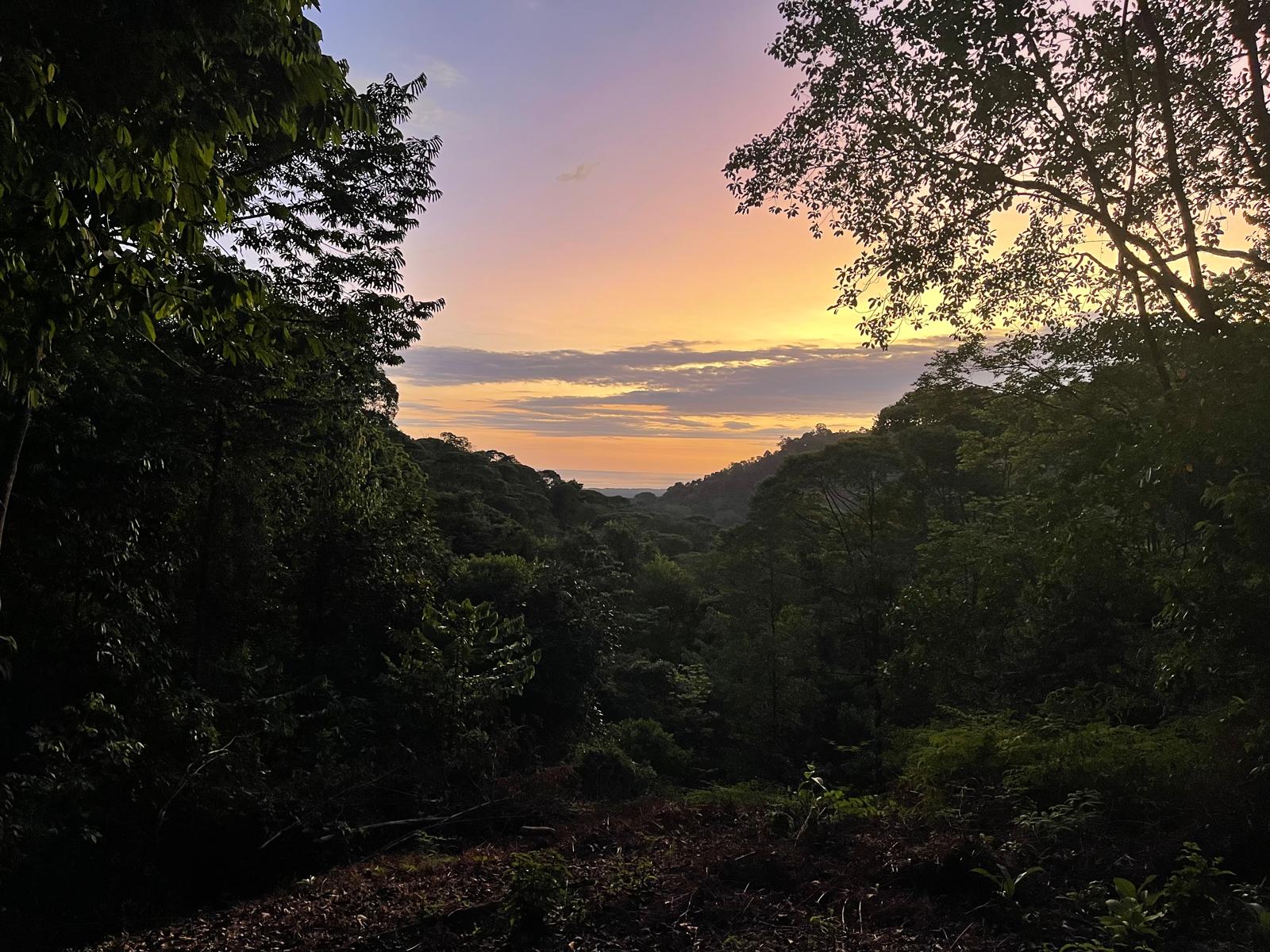 Tranquil Paradise in Portasol Gated Community, Lot C11, Portalon, Costa Rica